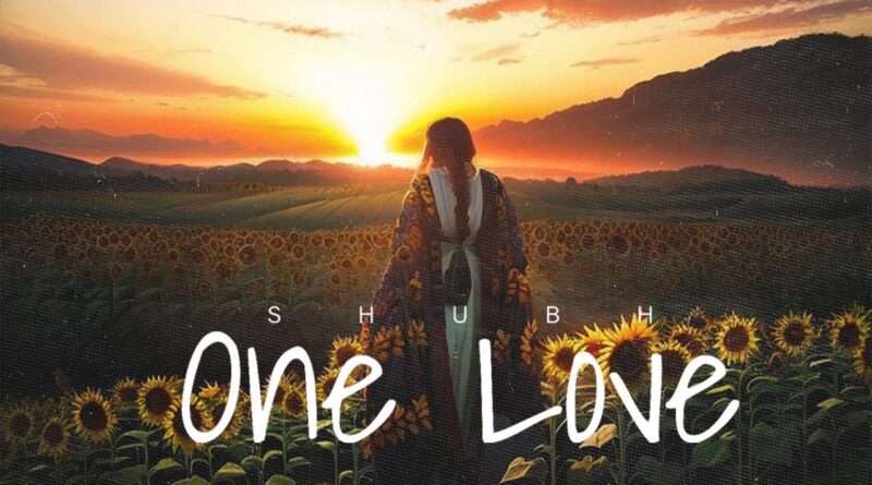 one-love-shubh-lyrics-translation-in-english-lyrics-translated