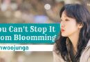 You Can’t Stop It – Lyrics Meaning In English – Sunwoojunga